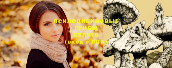гидропоника Баксан