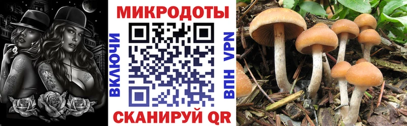 Галлюциногенные грибы прущие грибы  сколько стоит  Новый Оскол 
